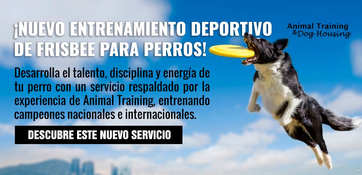 Banner animaltraining