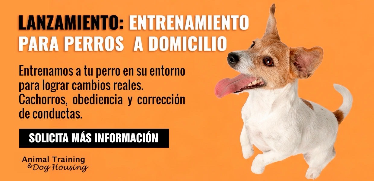 banner animaltraining