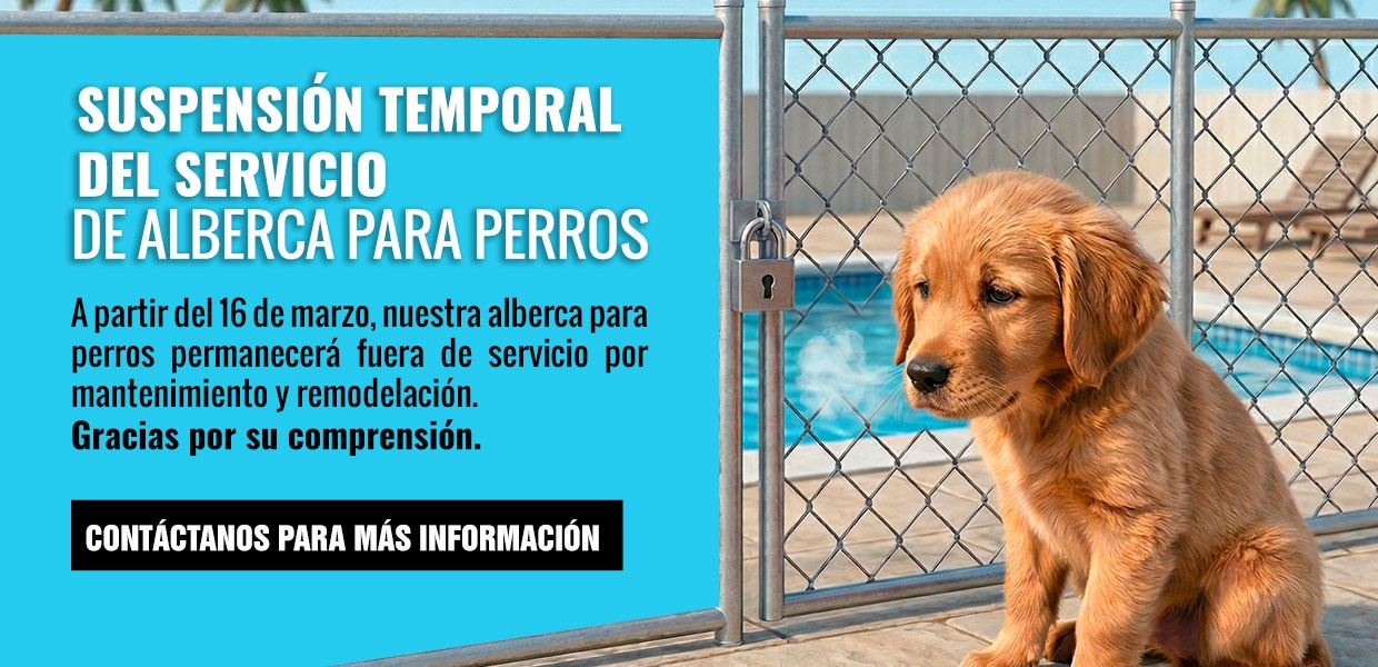 banner anuncio animal