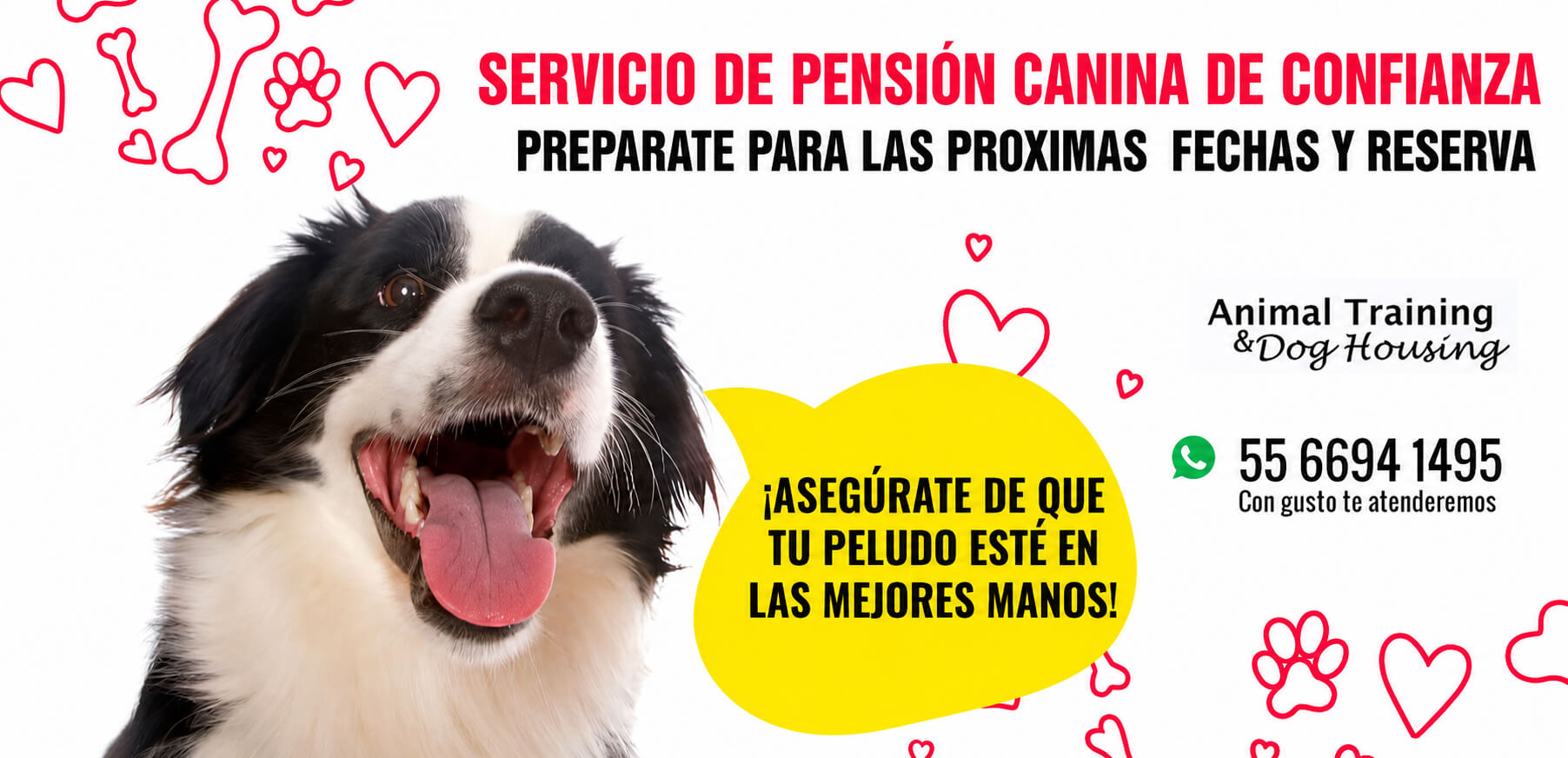 servicio-de-pension (1)