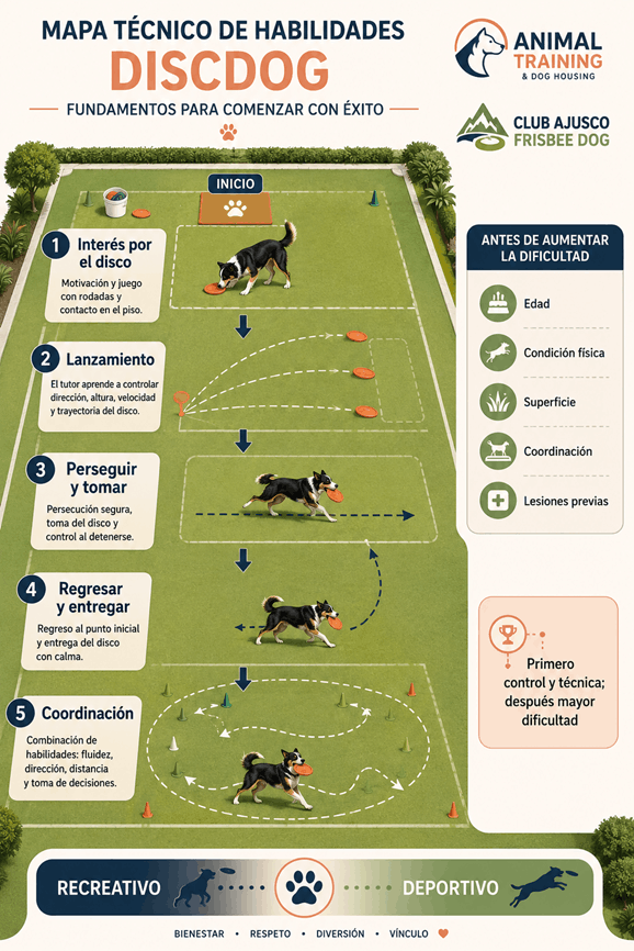 perro entrenando con Frisbee